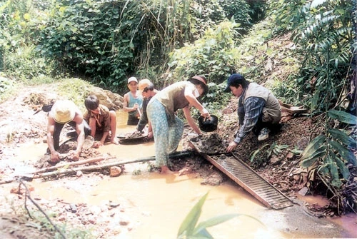 Đào, đãi vàng tự phát bên suối Pi Toong (Mường La, Sơn La).