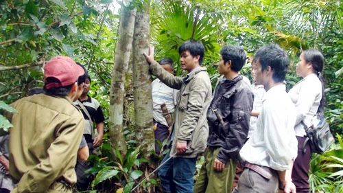Người dân bản Pỏm Om, xã Hạnh Dịch, huyện Quế Phong (Nghệ An) trao đổi kinh nghiệm chăm sóc và bảo vệ rừng.