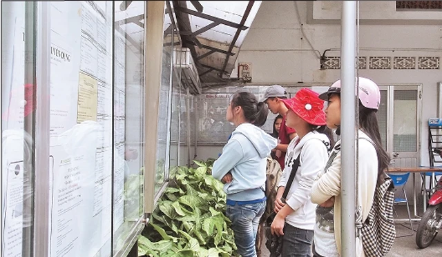 Việc làm thời vụ dịp Tết Nguyên đán thu hút sự quan tâm của nhiều sinh viên.