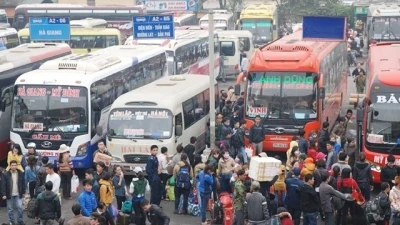Phạt từ 20 triệu đồng đối với doanh nghiệp kinh doanh vận tải ô-tô không kê khai giảm giá cước
