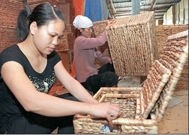 Sản xuất mây tre đan xuất khẩu tại Công ty mây tre đan xuất khẩu Hiền Lương (huyện Phú Xuyên).