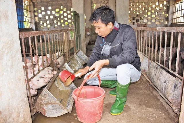 Anh Phùng Minh Thuần áp dụng công nghệ sạch tại trang trại I-Nature.