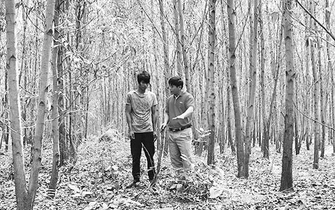 Cán bộ Công ty TNHH MTV Lâm nghiệp Krông Bông (Ðác Lắc) hướng dẫn người dân chăm sóc rừng trồng trên phần đất công ty thuê của người dân.