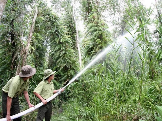 Lực lượng kiểm lâm tỉnh Kiên Giang diễn tập chữa cháy rừng.