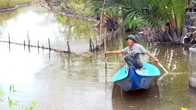 Mô hình nuôi thủy sản dưới tán rừng của ông Hai Nhàn (ấp Xẻo Quao A, xã Nam Thái A, huyện An Biên).