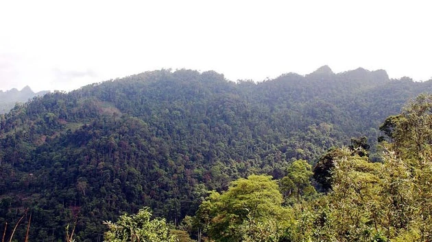 Vườn quốc gia Du Già – Cao nguyên đá Đồng Văn được bảo vệ với nhiều loài động, thực vật quý hiếm.