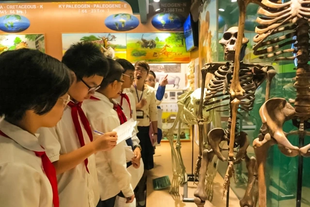 Học sinh Trường tiểu học Nguyễn Siêu (Hà Nội) tìm hiểu quá trình tiến hóa của loài người.