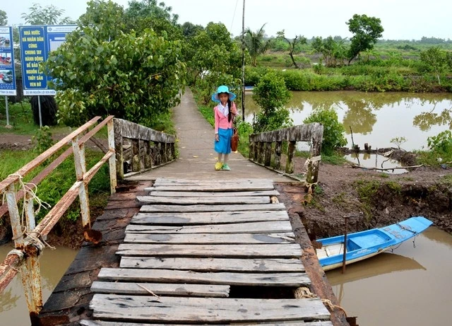 Cầu kênh Lô ba hư hỏng, nhân dân địa phương gia cố bằng cây gỗ, nguy hiểm cho người dân khi qua cầu.