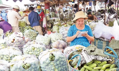 Hầu hết các loại rau, củ, quả tại chợ đầu mối nông sản, thực phẩm Hóc Môn đều là sản phẩm liên kết khép kín giữa nhà nông và tiểu thương.