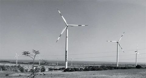 Việt Nam vẫn chưa tận dụng được lợi thế để phát triển nguồn năng lượng gió. Ảnh: TRẦN HẢI