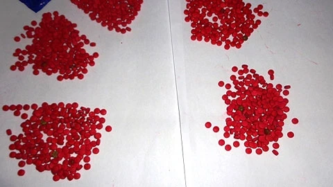 Một nghìn viên hồng phiến được Ú vận chuyển, tàng trữ.