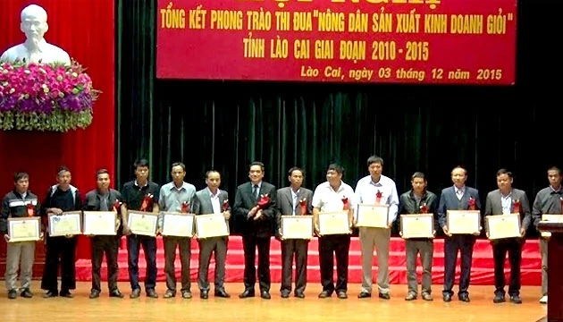 Trao tặng Bằng khen của UBND tỉnh cho các hộ nông dân sản xuất - kinh doanh giỏi ở Lào Cai.
