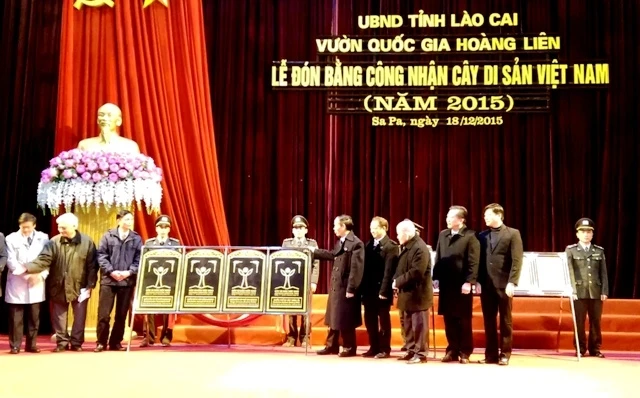 Trao Bằng công nhận Cây di sản Việt Nam cho Vườn quốc gia Hoàng Liên.