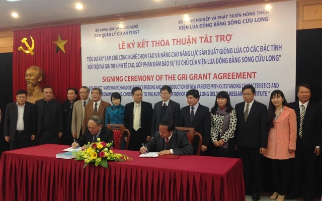 Hỗ trợ 66 tỷ đồng nâng cao năng lực sản xuất giống lúa