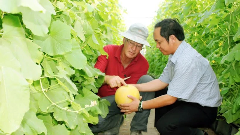 Tổng Giám đốc Unifarm Phạm Quốc Liêm (bên phải) trao đổi kinh nghiệm làm nông nghiệp kỹ thuật cao với chuyên gia nông nghiệp I-xra-en.