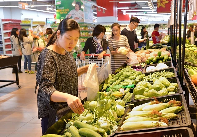 Nhiều thương hiệu lớn của Việt Nam đang chạy đua đầu tư vào lĩnh vực nông nghiệp xanh, sạch.Ảnh: THU HÀ