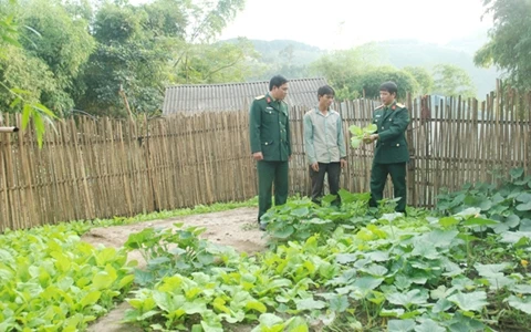 Cán bộ Đoàn KT-QP 345 hướng dẫn đồng bào trồng rau theo hộ gia đình.