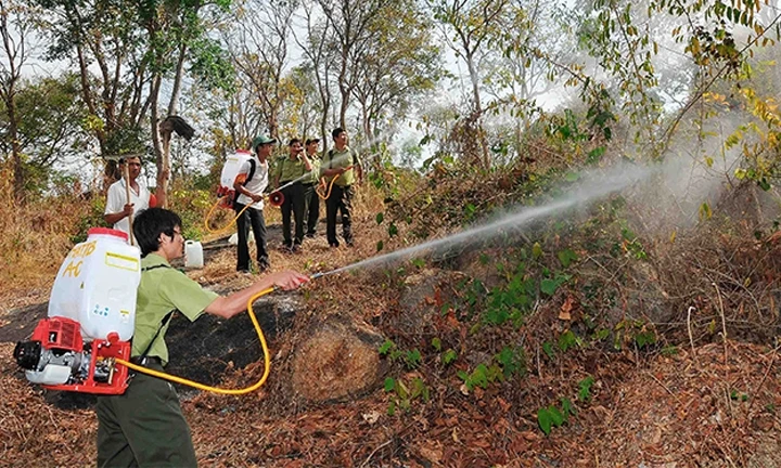 Lực lượng kiểm lâm tỉnh An Giang diễn tập chữa cháy rừng. 