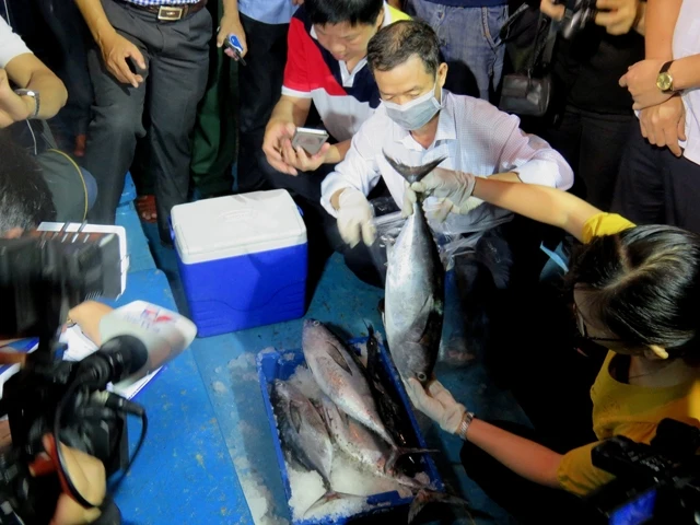 Ngày 30-4, tại cảng cá Sông Gianh (huyện Bố Trạch) và cảng Nhật Lệ (TP Đồng Hới), hàng chục tấn cá do ngư dân Quảng Bình đánh bắt xa bờ được kiểm tra, cấp giấy chứng nhận nguồn gốc an toàn.