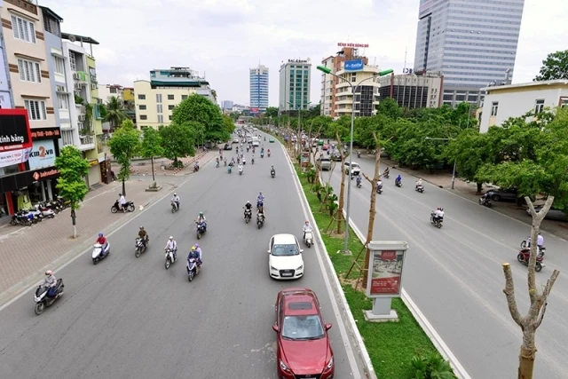 Hàng cây phượng mới được trồng trên tuyến đường Ô Chợ Dừa. (Ảnh: Lê Hiếu)