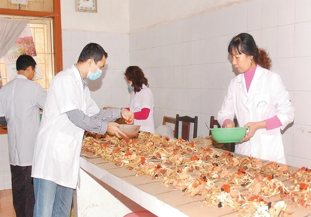 Cân chia thuốc theo thang phục vụ người bệnh tại Bệnh viện Y học cổ truyền Hà Đông (Hà Nội). Ảnh: NGUYỄN VÂN