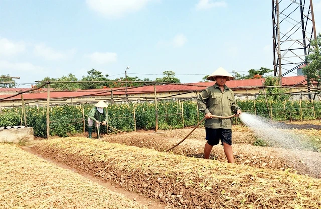 Sản xuất nông nghiệp vẫn còn theo phương pháp lạc hậu.