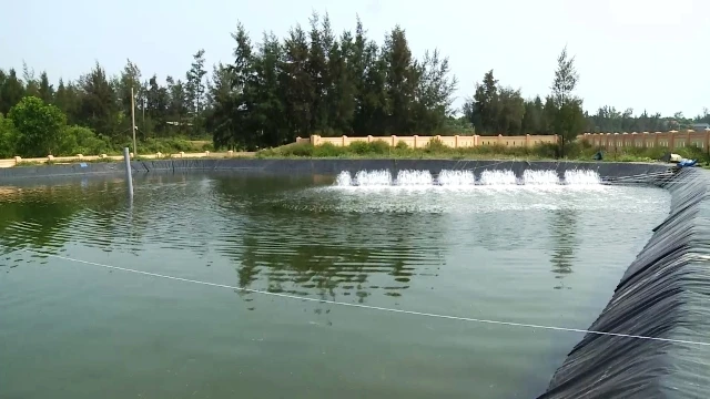 Hồ nuôi tôm thí điểm ở xã ven biển Vĩnh Quang, huyện Vĩnh Linh (Quảng Trị).