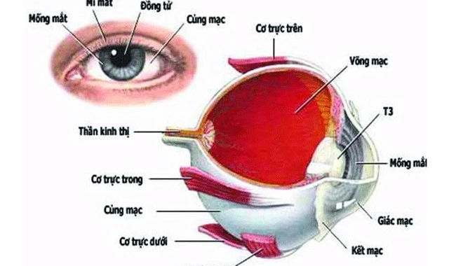 Ảnh: Cục Y tế dự phòng.