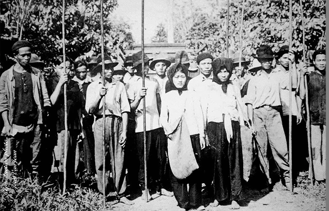 Người lao động Việt Nam tại Tân Đảo, đàn ông cầm gậy dài để hái dừa.