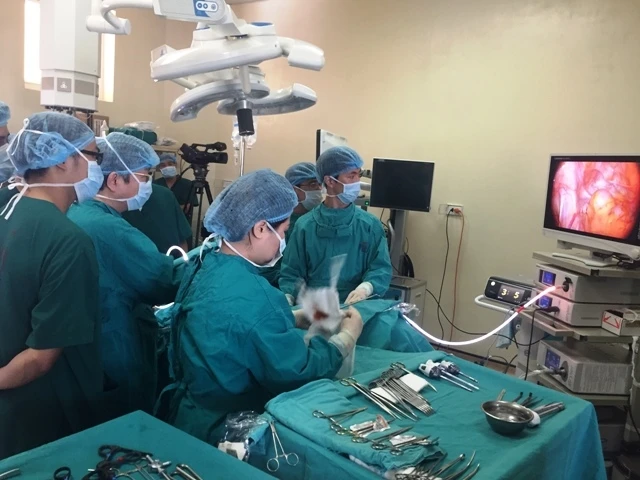 GS Kim Nam Kyu đang thực hiện ca mổ trình diễn phẫu thuật nội soi ung thư đại trực tràng.