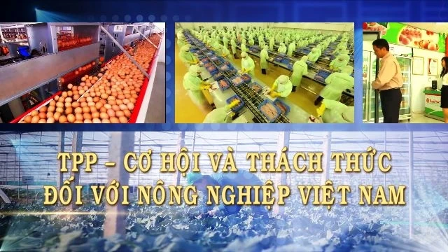 TPP - Cơ hội và thách thức đối với nông nghiệp Việt Nam 