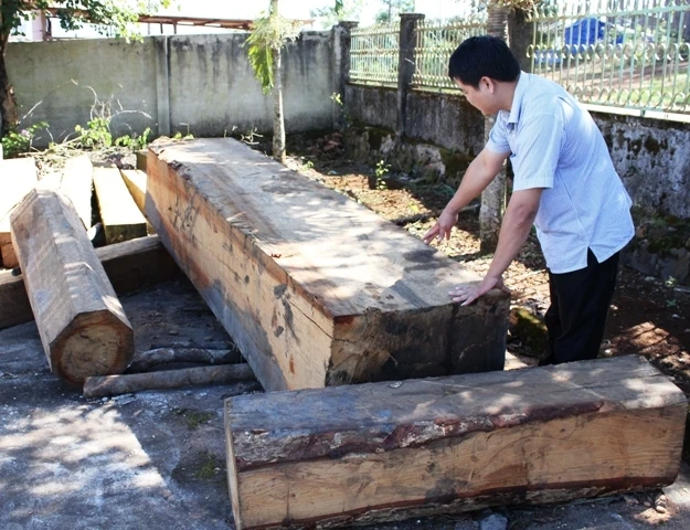 Gỗ tang vật bị tịch thu tại trụ sở Khu bảo tồn thiên nhiên Nam Nung.