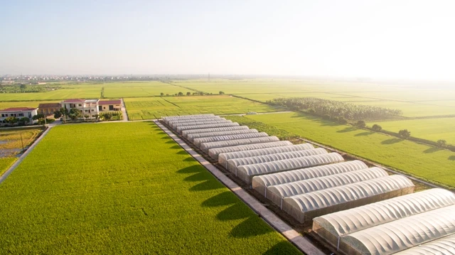 Khu nông nghiệp công nghệ cao - Trung tâm nghiên cứu ứng dụng và chuyển giao công nghệ Giống cây trồng T.Ư (huyện Khoái Châu, tỉnh Hưng Yên). 