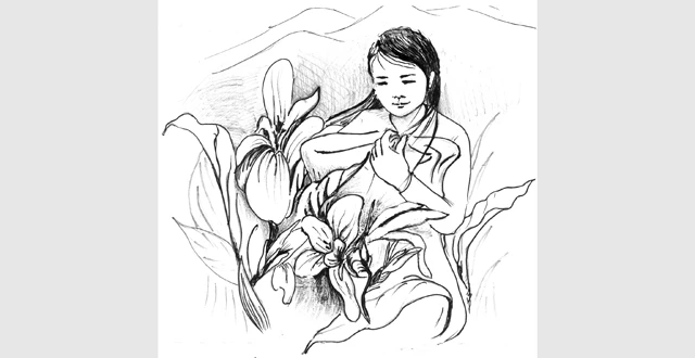 Minh họa: Thu Hà