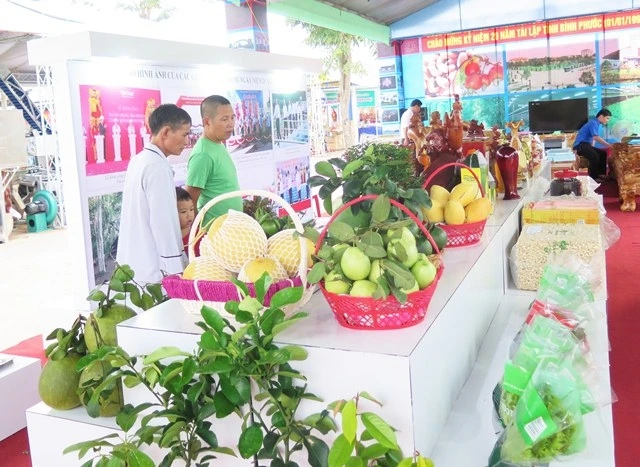 Khách tham quan gian hàng giới thiệu những thành tựu phát triển kinh tế - xã hội của tỉnh Bình Phước.