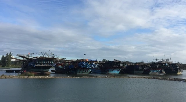 Những con tàu câu mực ở điểm đậu tàu thuộc thôn Mỹ Tân, xã Bình Chánh.