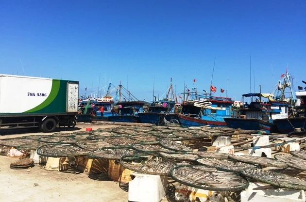 Cảng Sa Huỳnh ăm ắp cá tôm và nhiều tàu thuyền neo đậu.