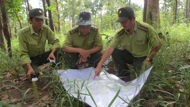 Lực lượng kiểm lâm VQG Yóc Đôn xác định những “điểm nóng” phá rừng để tăng cường lực lượng QLBVR trong mùa khô.