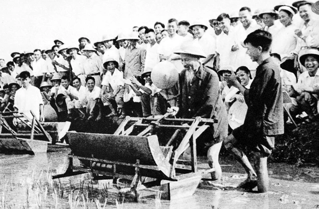 Chủ tịch Hồ Chí Minh dùng thử máy cấy lúa cải tiến tại trại thí nghiệm trồng lúa Sở Nông lâm Hà Nội (16-7-1960).