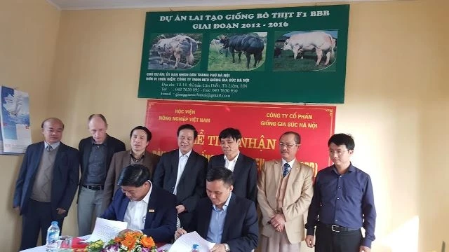 Quang cảnh lễ ký kết tiếp nhận đàn bò đực giống BBB thuần nhập ngoại về nuôi dưỡng, khai thác và phục vụ công tác nghiên cứu, đào tạo tại Hà Nội. 