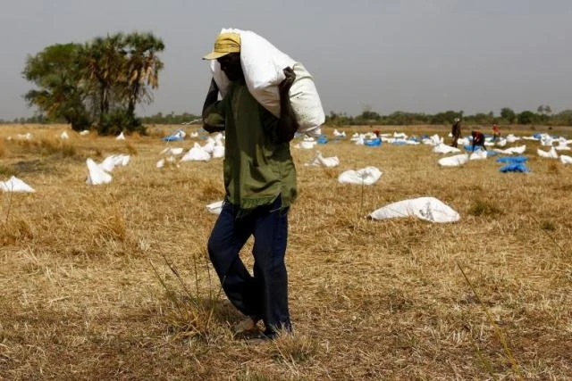 Người dân Nam Sudan vác bao tải chứa thực phẩm do Chương trình Lương thực thế giới (WFP) dùng máy bay thả xuống gần làng Rubkuai, bang Unity. (Ảnh: Reuters)