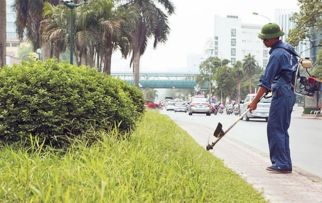Công nhân cắt tỉa cỏ tại dải phân cách trên đường Trần Duy Hưng. Ảnh: VIỆT LINH
