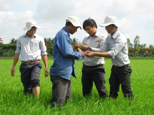 Đưa kỹ sư trẻ xuống ruộng với nông dân là cách làm hay mà Tập đoàn Lộc Trời hướng đến trong nâng cao chuỗi giá trị hạt gạo.