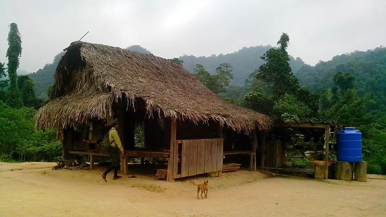 Những căn nhà lá của bà con bản Đoòng xã Tân Trạch, huyện Bố Trạch (Quảng Bình).