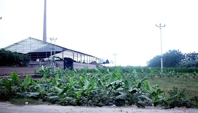 Nhà máy gạch tuynel của Công ty TNHH Đại Nam lấn chiếm đất công của xã Tứ Dân, huyện Khoái Châu, tỉnh Hưng Yên.