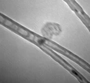 Bước tiến mới trong việc chế tạo bóng bán dẫn nano