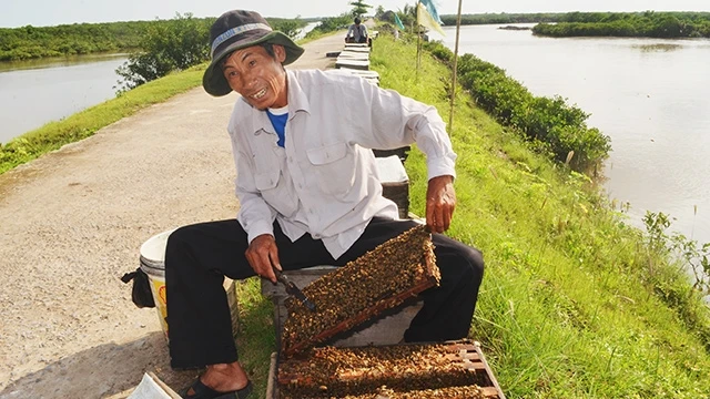 Ông Giang, một thợ nuôi ong ở Vườn quốc gia Xuân Thủy.