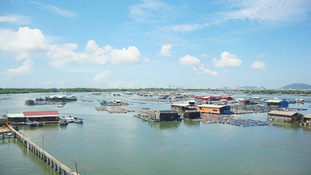 Xóm bè cá ở Long Sơn.