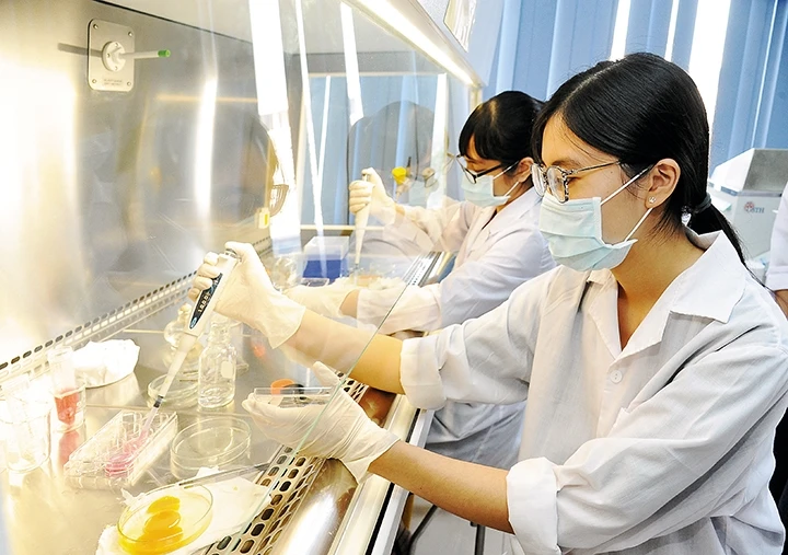  Sinh viên Trường đại học Khoa học và Công nghệ Hà Nội thực tập tại phòng thí nghiệm công nghệ sinh học dược học. Ảnh | Hải Thanh