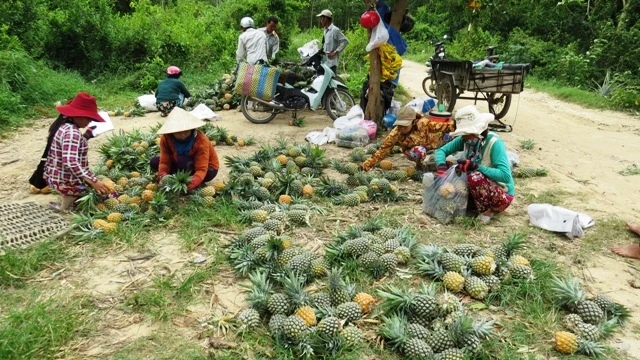 Rộn ràng mua bán khóm Đồng Din mùa chính vụ. 